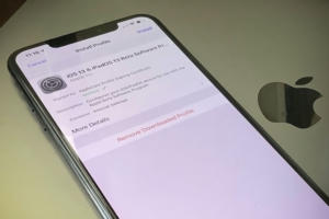 ios 13 beta install hero2