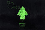 The Shift Toward Dynamic Investment: IT Action Steps, Part 2