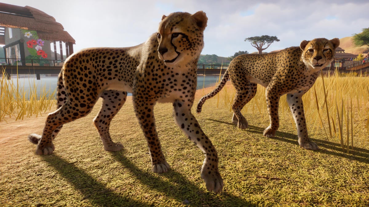 Planet Zoo was quietly one of the best demos at E3 2019 | PCWorld