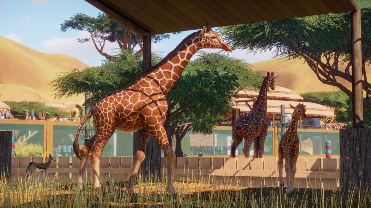 Planet Zoo was quietly one of the best demos at E3 2019 | PCWorld