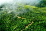 Why the future of Africa’s energy industry is green