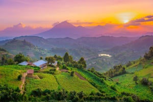 How mobile, AI and drone tech are fighting food insecurity in Africa