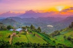How mobile apps are driving the African agricultural tech revolution