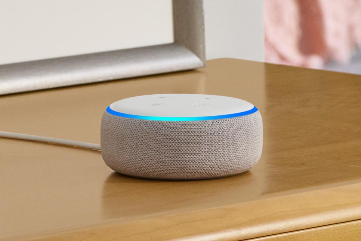 can the echo dot