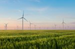 How Machine Learning Can Help Your Business Fight Climate Change