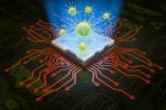 What is a computer worm? How this self-spreading malware wreaks havoc