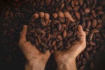 OpenJDK proposal would provide Java class file API