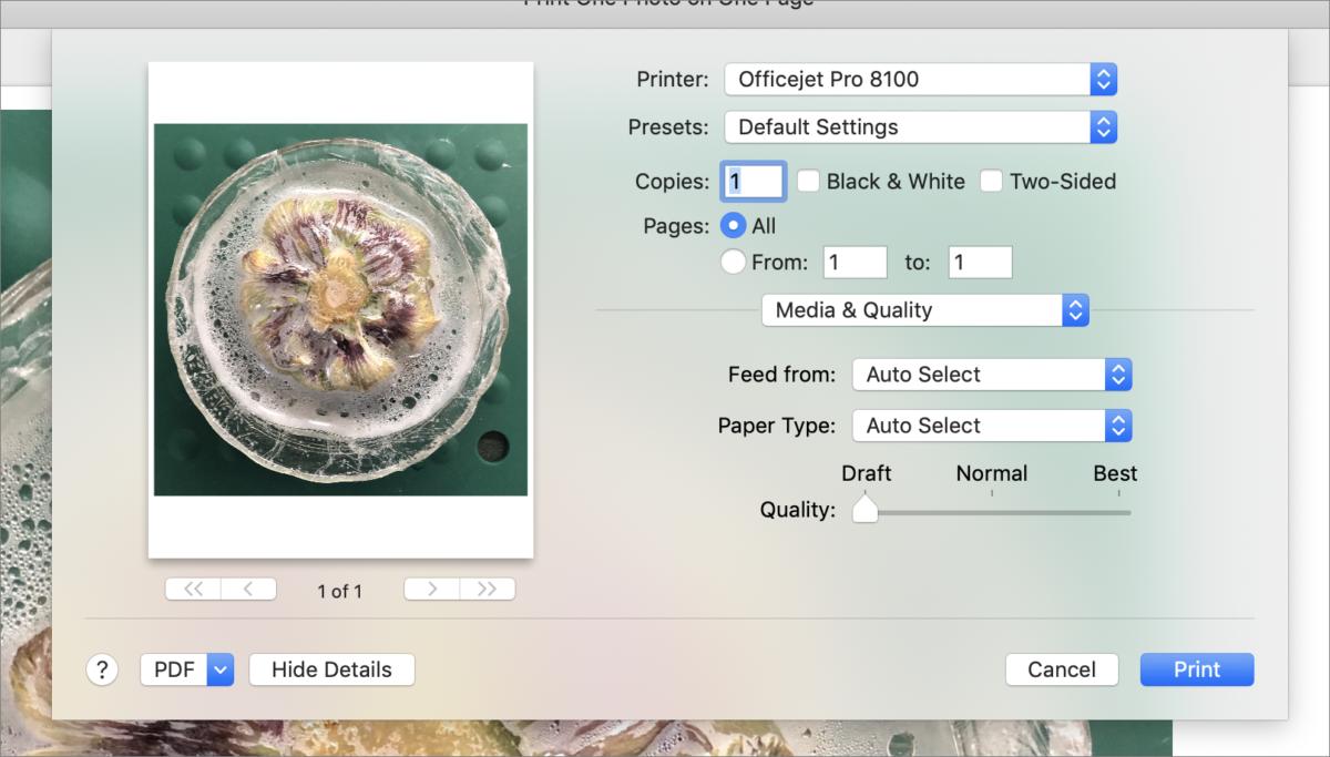 photo printing software for mac