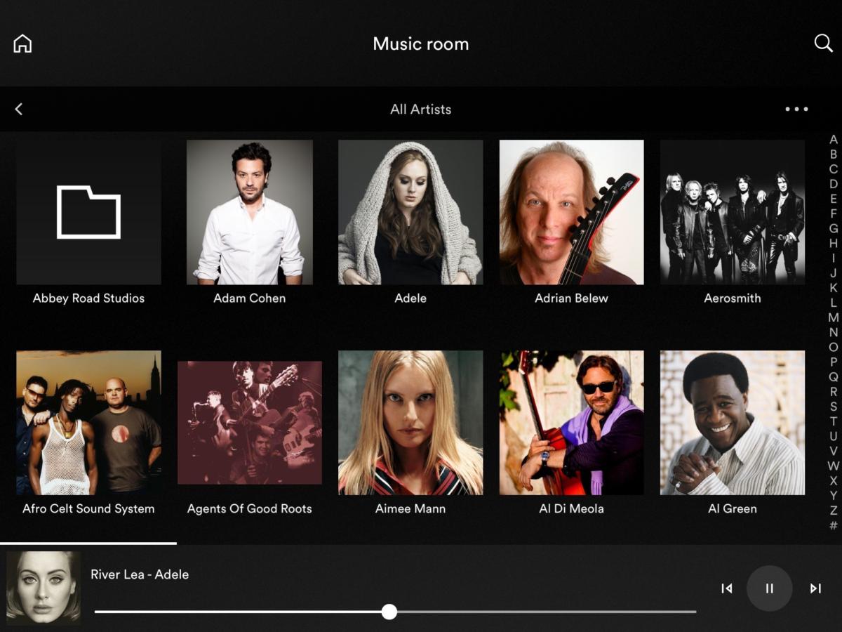 naim app listing music from a plex server