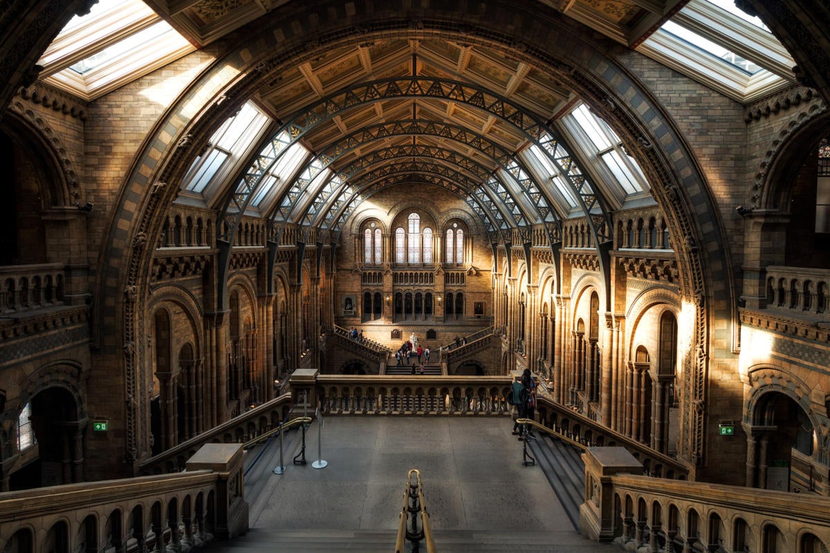 UK | United Kingdom  >  England  >  London  >  Natural History Museum