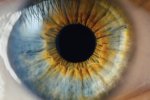 AI Assisted Infant Eye Disease Screening: Early Detection is of Crucial Importance