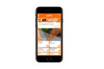 Easyjet ready for take off with voice bookings