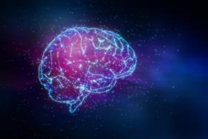 Deciphering the Mysteries of Neural Networks