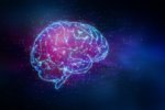 Deciphering the Mysteries of Neural Networks