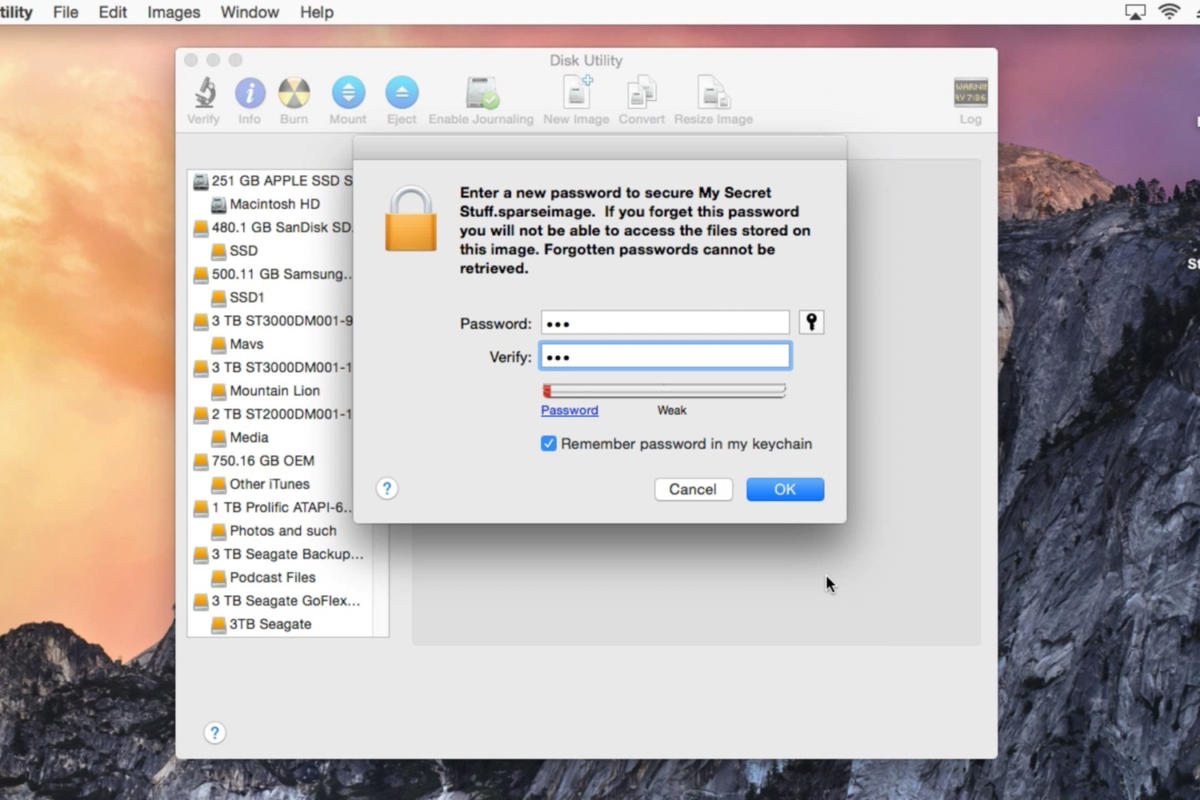 instal the new version for apple Secret Disk Professional 2023.02