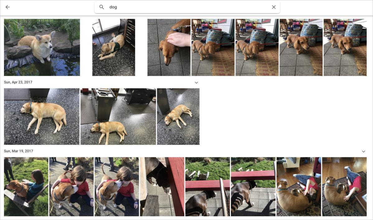 mac911 google photos for sharing