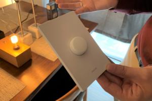 philips hue smart button backplate