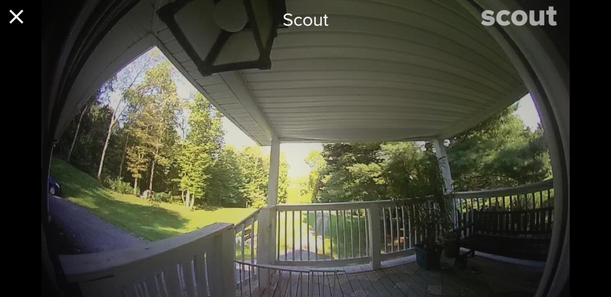 scout03