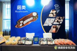 Walmart China blockchain