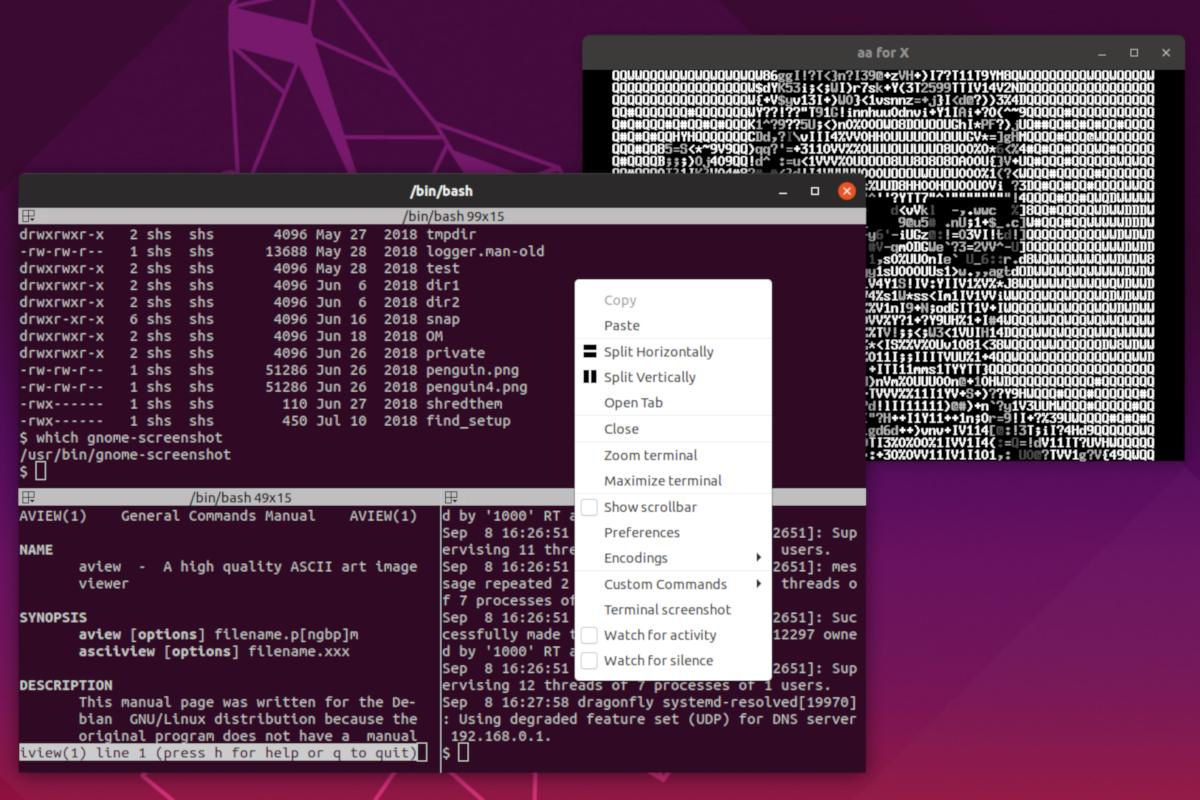 Image: How to use Terminator on Linux to run multiple terminals in one window