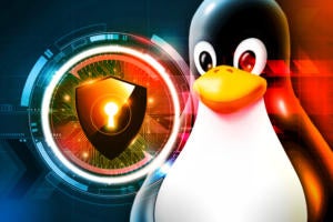 Top Linux endpoint protection software