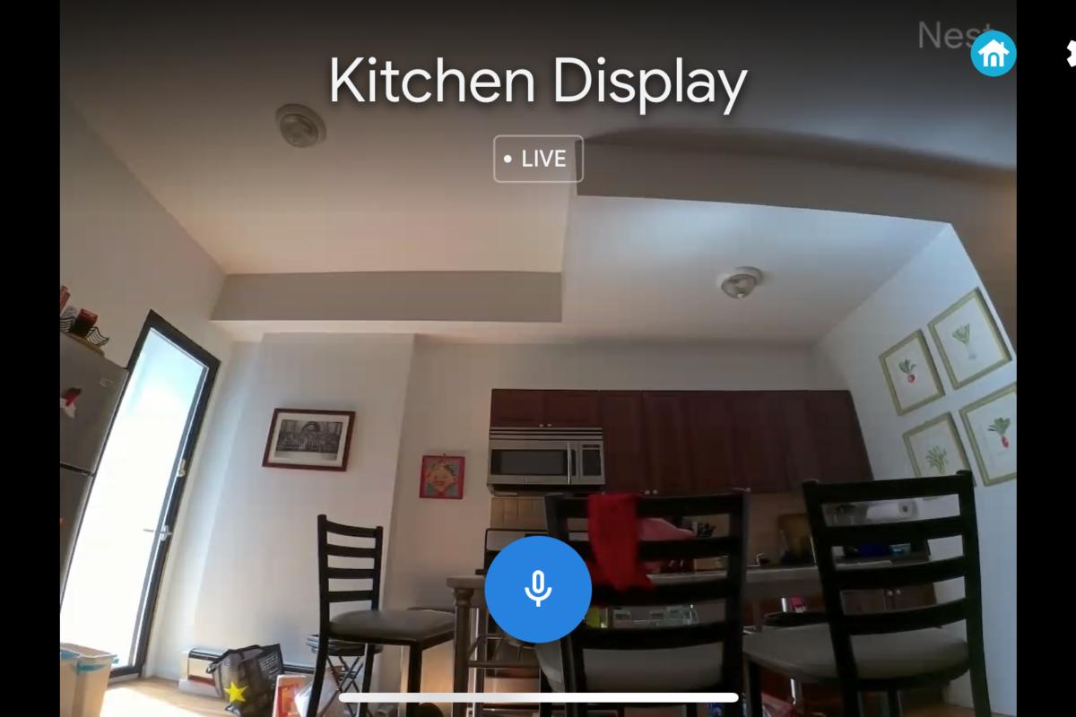 google nest hub max nest camera.jpeg