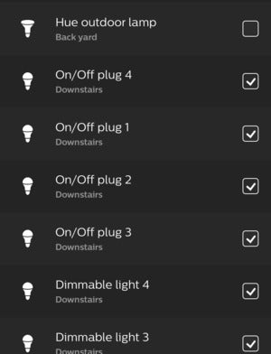 innr smart plug hue app