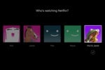 For streaming TV harmony, make a joint Netflix profile