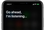 Think the video call mute button keeps you safe? Think again