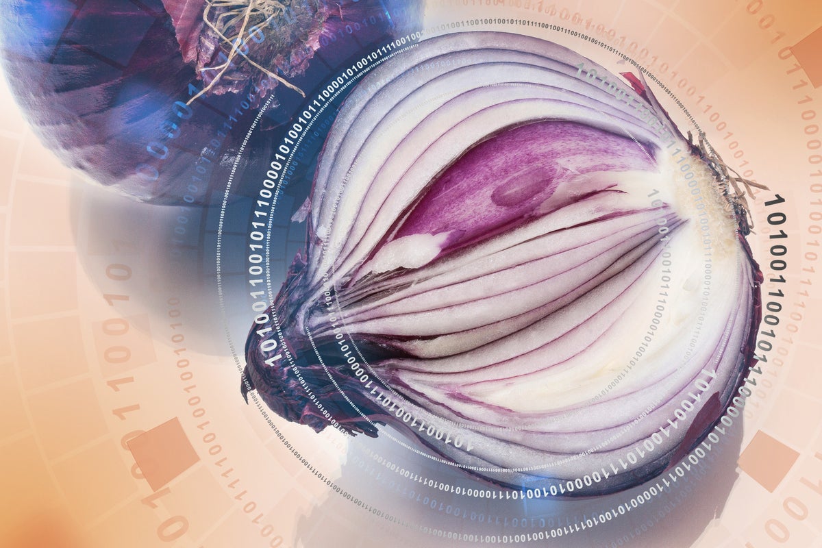 onion layers / binary code