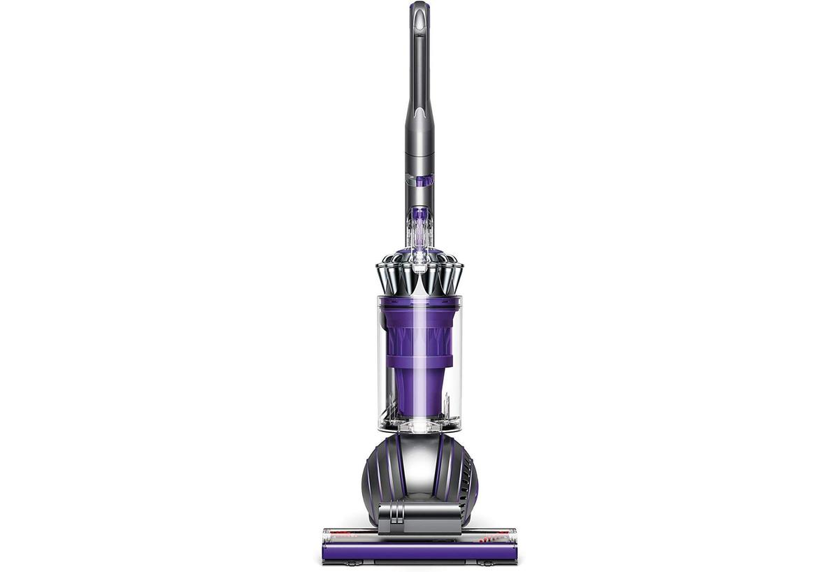 dyson animal 2 price