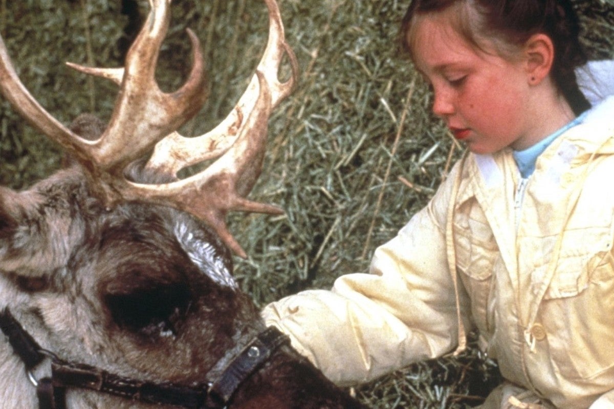 Prancer