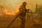 Cyber scammers take advantage of bushfire crisis