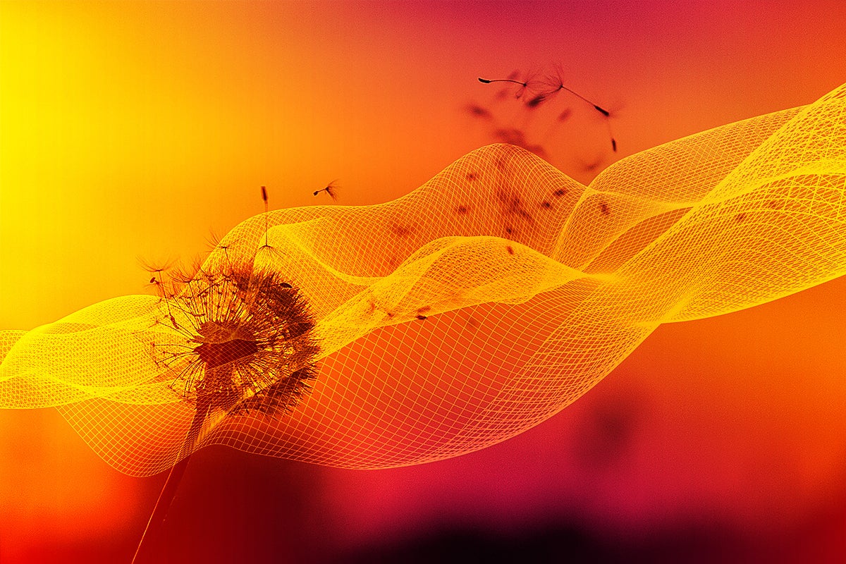 Digital Transformation [DX]  >  dandelion seeds blown by a virtual wind of change