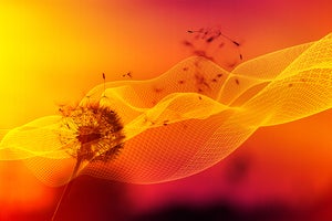 The state of digital transformation in 2020