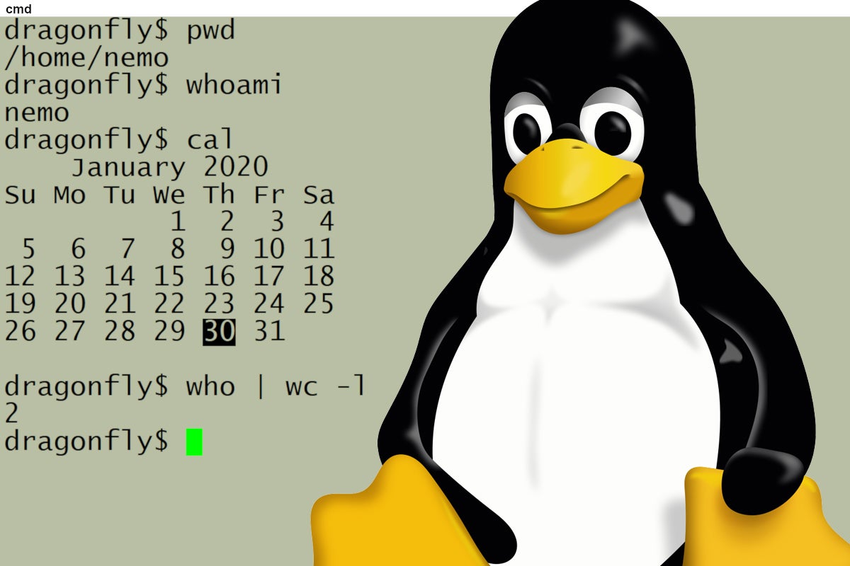 Image: Intro to the Linux command line