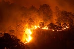 Mobile signals could help detect bushfire smoke levels