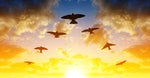 Migrating to the Cloud in 2020? Key Reasons It Pays to be Choosy About Your Cloud Provider