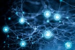Modern Networks Require High-Performance Internal Segmentation