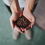 Java / coffee / beans in hands