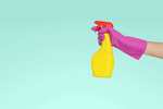 Spring Cleaning Sales 2020