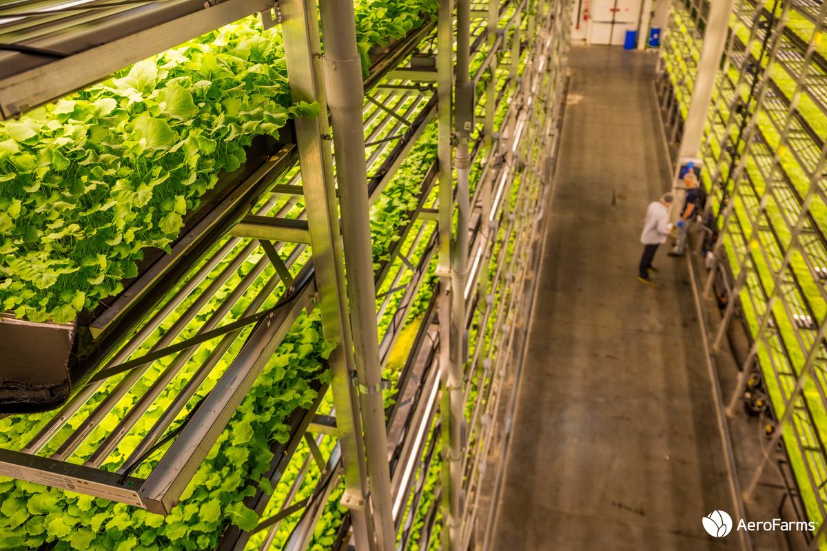 aerofarms indoor vertical farming watermark 01