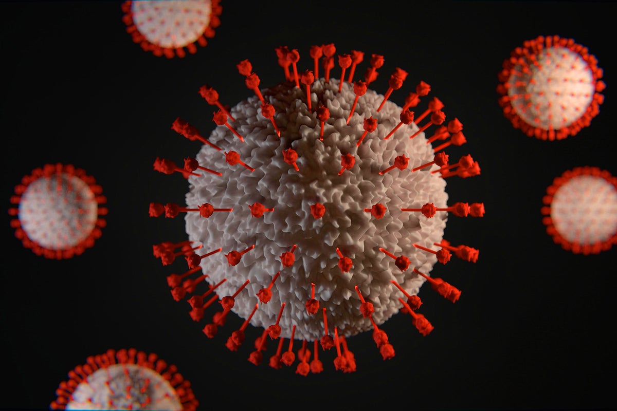 COVID-19 coronavirus [morphology/visualization]