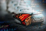 The 3 keys to scaling enterprise devops use