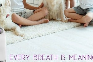 Eliminate harmful air particles with this advanced purifier