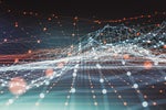 Navigating and Winning in a Data Economy