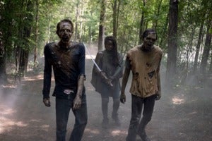 the walking dead