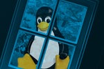 Running a Linux terminal in your Windows browser