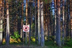Harnessing the Power of AI for Forests
