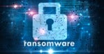 Verizon DBIR: Ransomware and the Public Sector